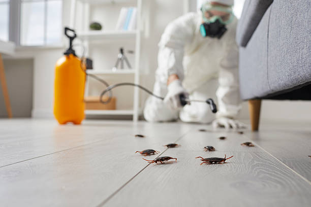 Commercial Kitchen Cockroach Control in Prices Fork